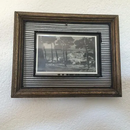 Atila Apartament