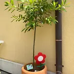 Appartement Atila