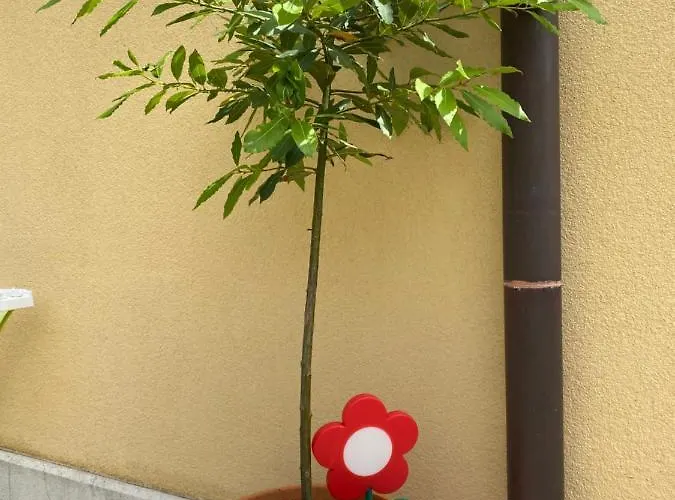 Appartement Atila