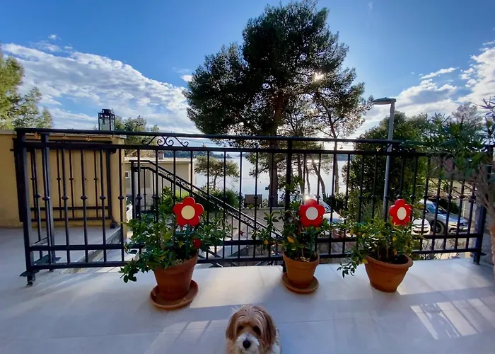 Atila Mali Lošinj